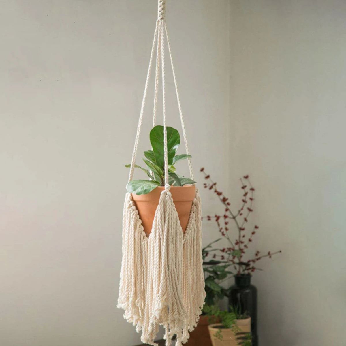 CloudNest | White Macrame Hanging Plant Holder
