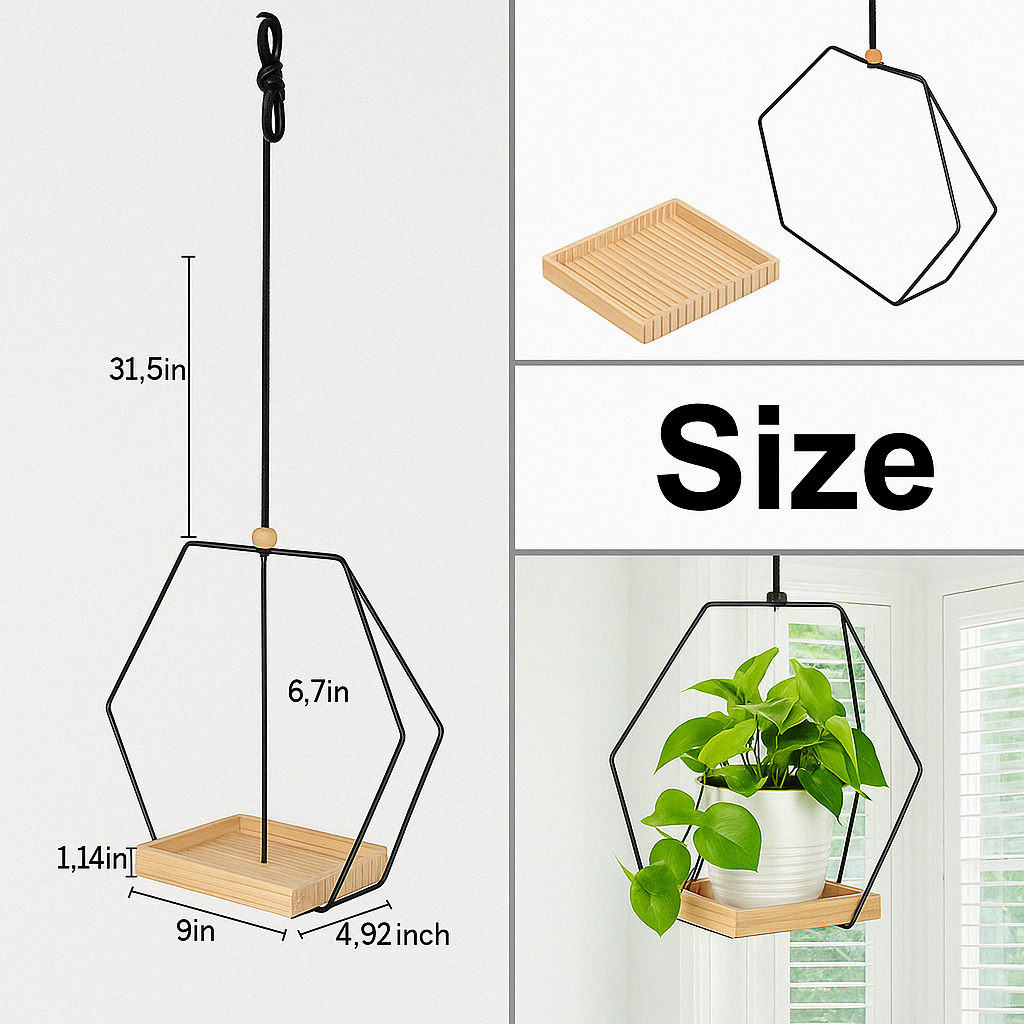 BloomLedge | Black Hanging Plant Shelf