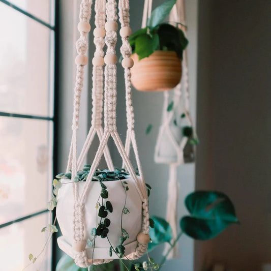 Botanical Haven | Macrame Plant Hanger