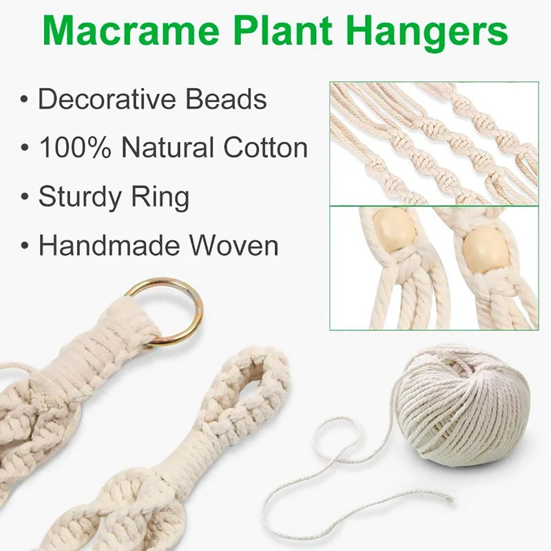 Botanical Haven | Macrame Plant Hanger