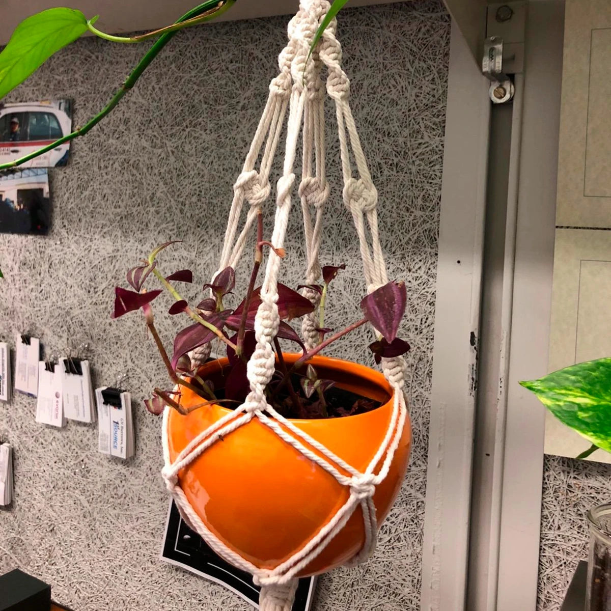 Botanical Haven | Macrame Plant Hanger