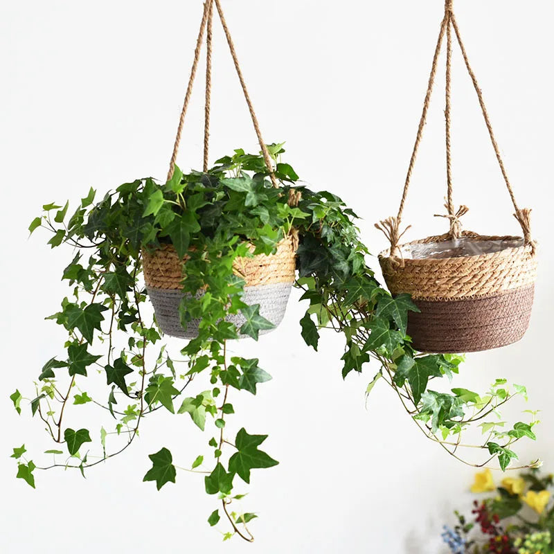 SageNest | Beige Macrame Hanging Plant Basket