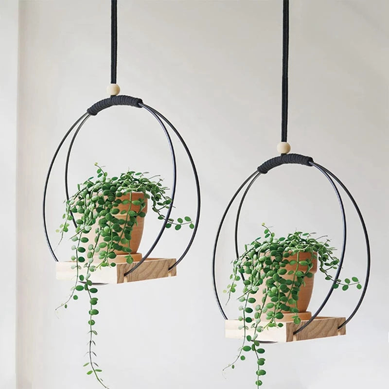 BloomLedge | Black Hanging Plant Shelf