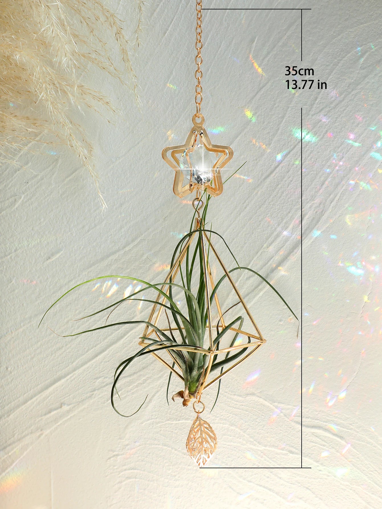 SolaraGlow | Gold Hanging Air Plant Holder