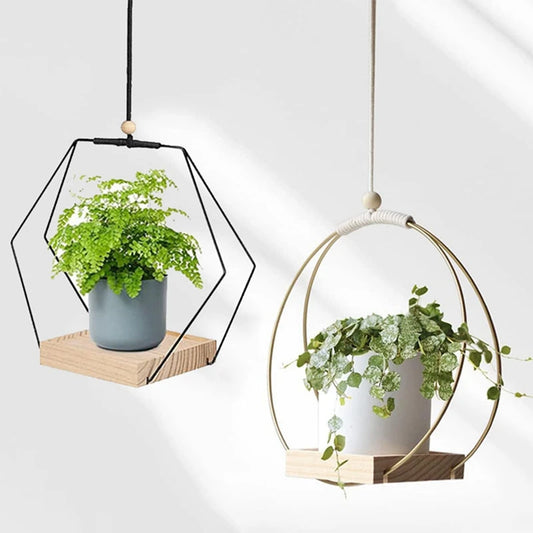 BloomLedge | Black Hanging Plant Shelf