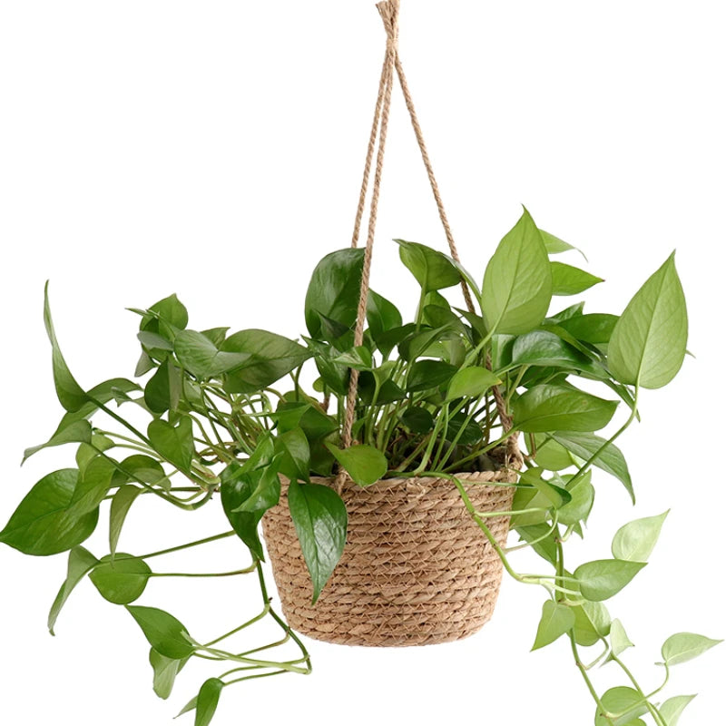 SageNest | Beige Macrame Hanging Plant Basket