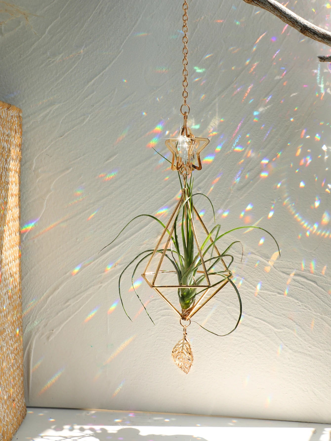 SolaraGlow | Gold Hanging Air Plant Holder