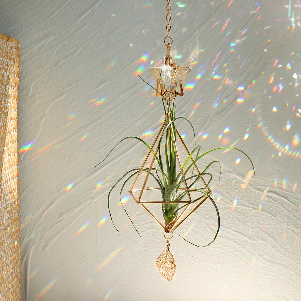 SolaraGlow | Gold Hanging Air Plant Holder