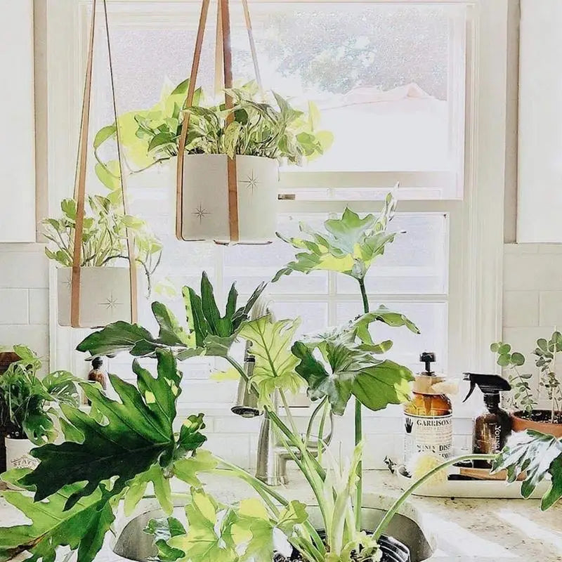 BloomNest | Beige Macrame Plant Hanger