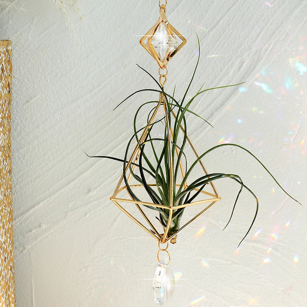 SolaraGlow | Gold Hanging Air Plant Holder