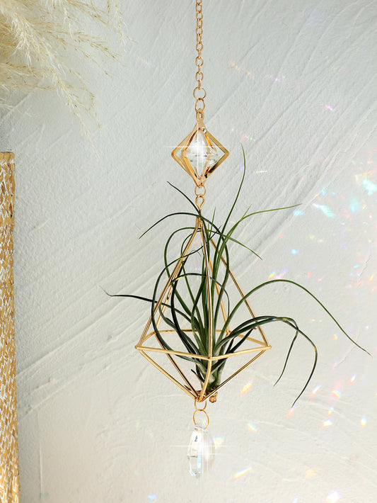 SolaraGlow | Gold Hanging Air Plant Holder