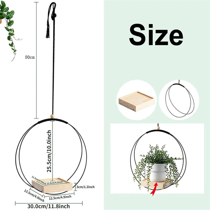 BloomLedge | Black Hanging Plant Shelf