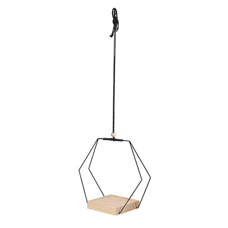 BloomLedge | Black Hanging Plant Shelf