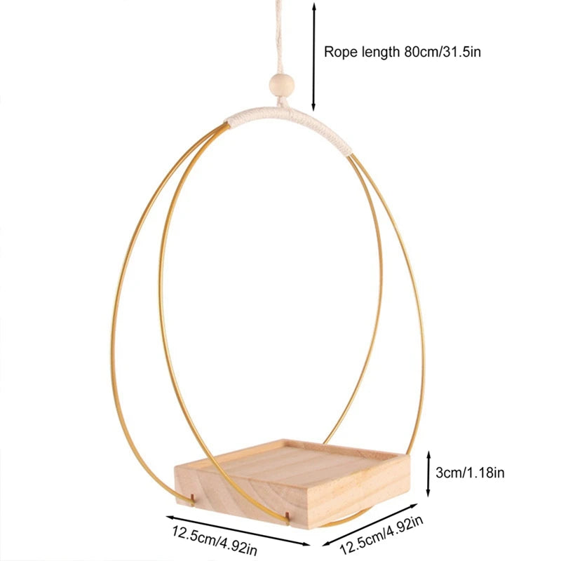BloomLedge | Black Hanging Plant Shelf