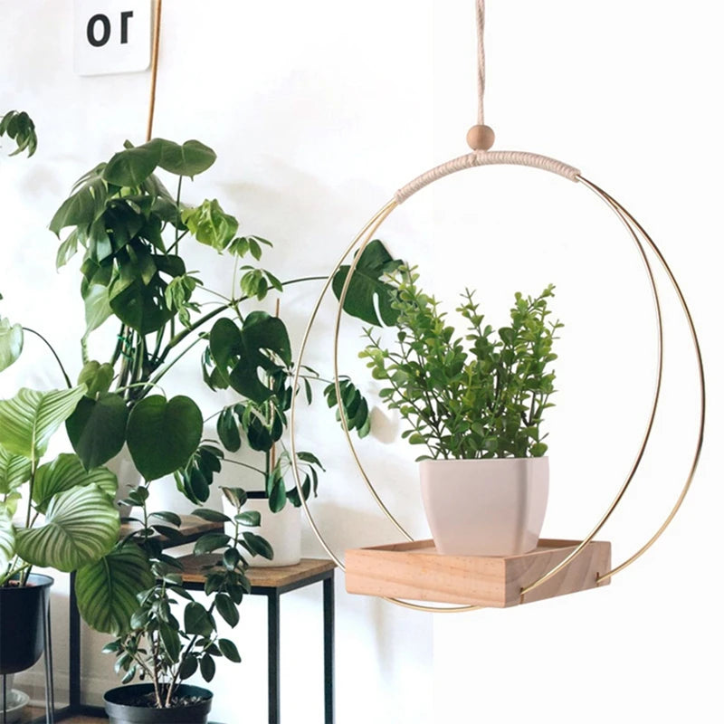 BloomLedge | Black Hanging Plant Shelf
